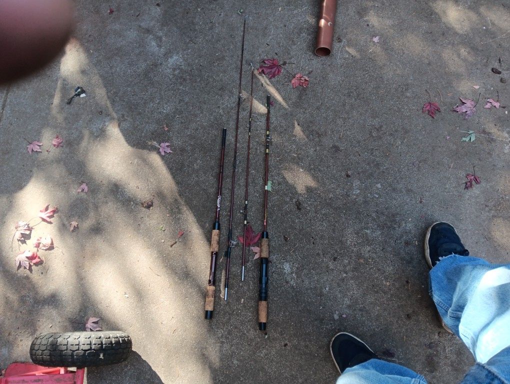 Fishing Rod X2