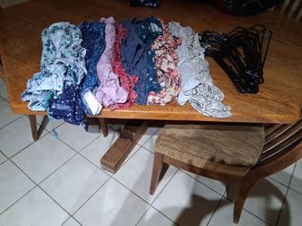 Women's 3xl clothes lot with 14 black plastic hangers