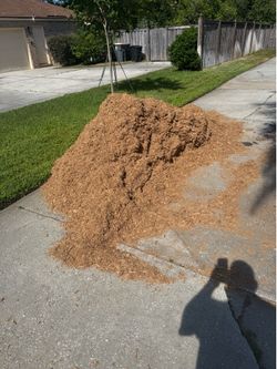 Free Cypress Mulch