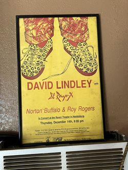 Frame Of David Lindley Concert