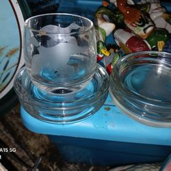 Glass Duck Coasters And Glass