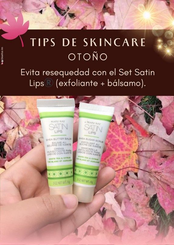 Set Satin Lips 