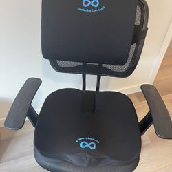 Office Chair & Memory Foam Seat Set