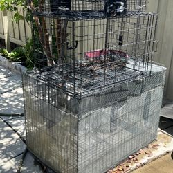 Dog Cage
