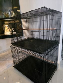 New Bird Cage