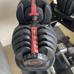 Bowflex Dumbbells With Stand, Weights