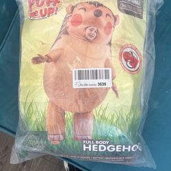 Halloween Costume Hedgehog