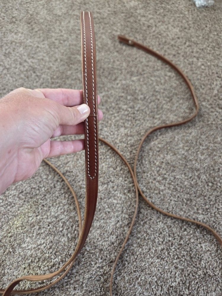 Spilt Reins