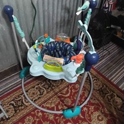 Bouncer Swing For,$ 25 Dollars