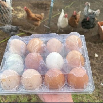 Fresh eggs