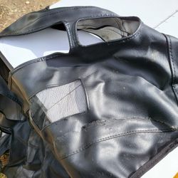 Free Car Mask/Bra Miata