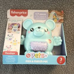 Fisher Price Toy