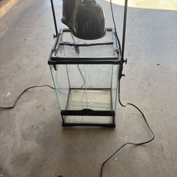 Small Reptile Terrarium 