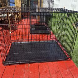 Dog Cage
