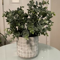 Artificial Eucalyptus Plant in Textured Pot