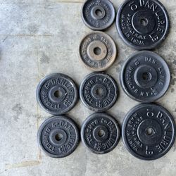 Dan Lurie Weights