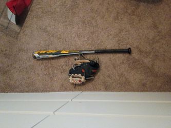Baseball and baseball glove
