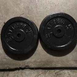 Pair of Steel Standard 25 Lb Plates 