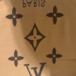 LV scarf 