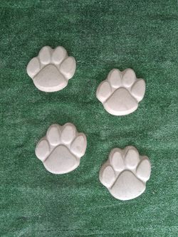 Dog paw  Stepping Stones Concert