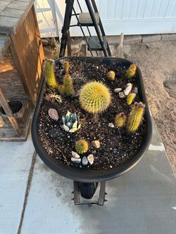 Garden decor