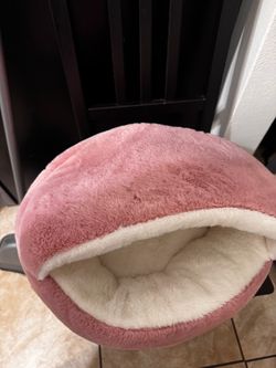 Cat bed