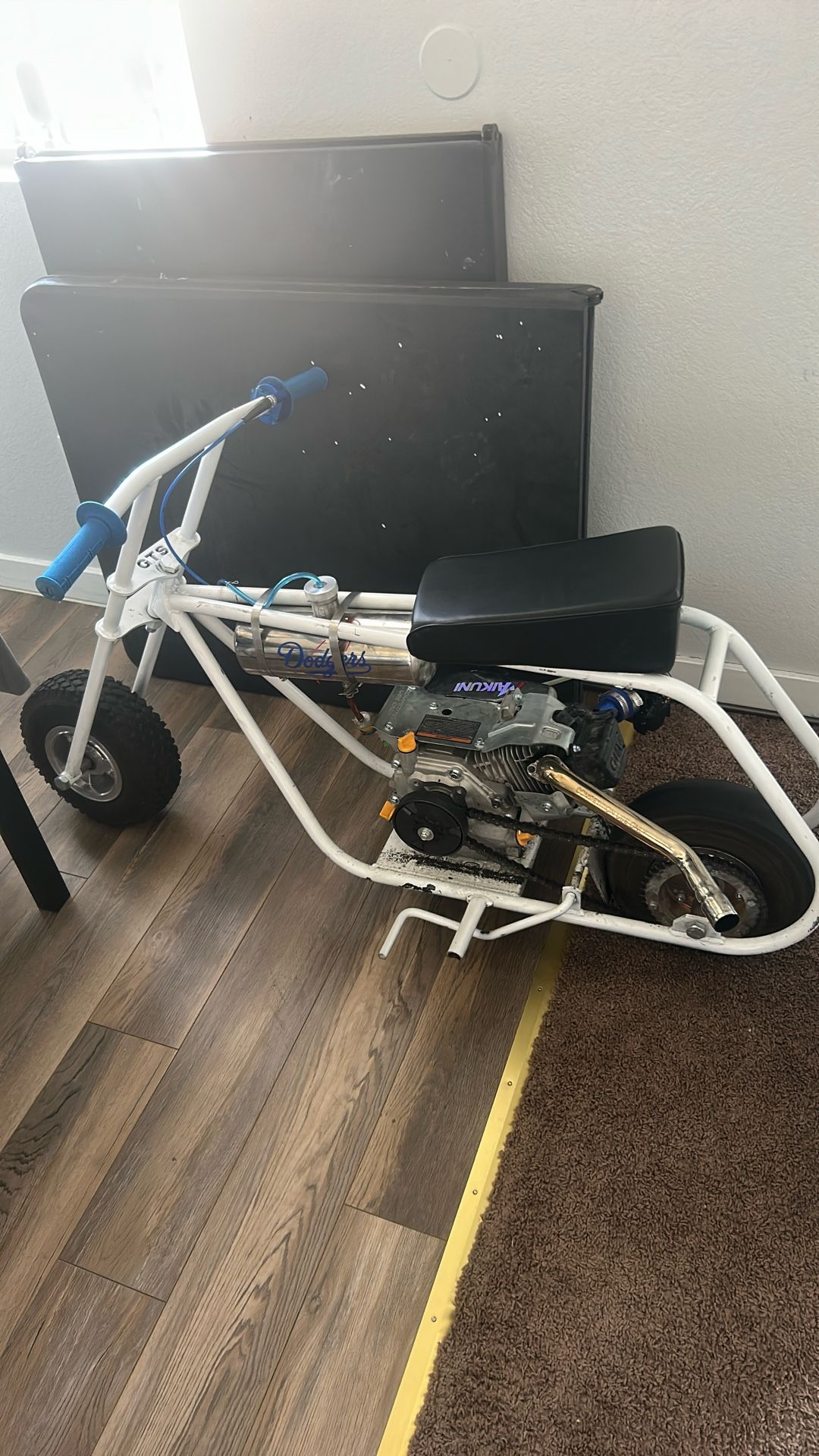 gts Mini Bike