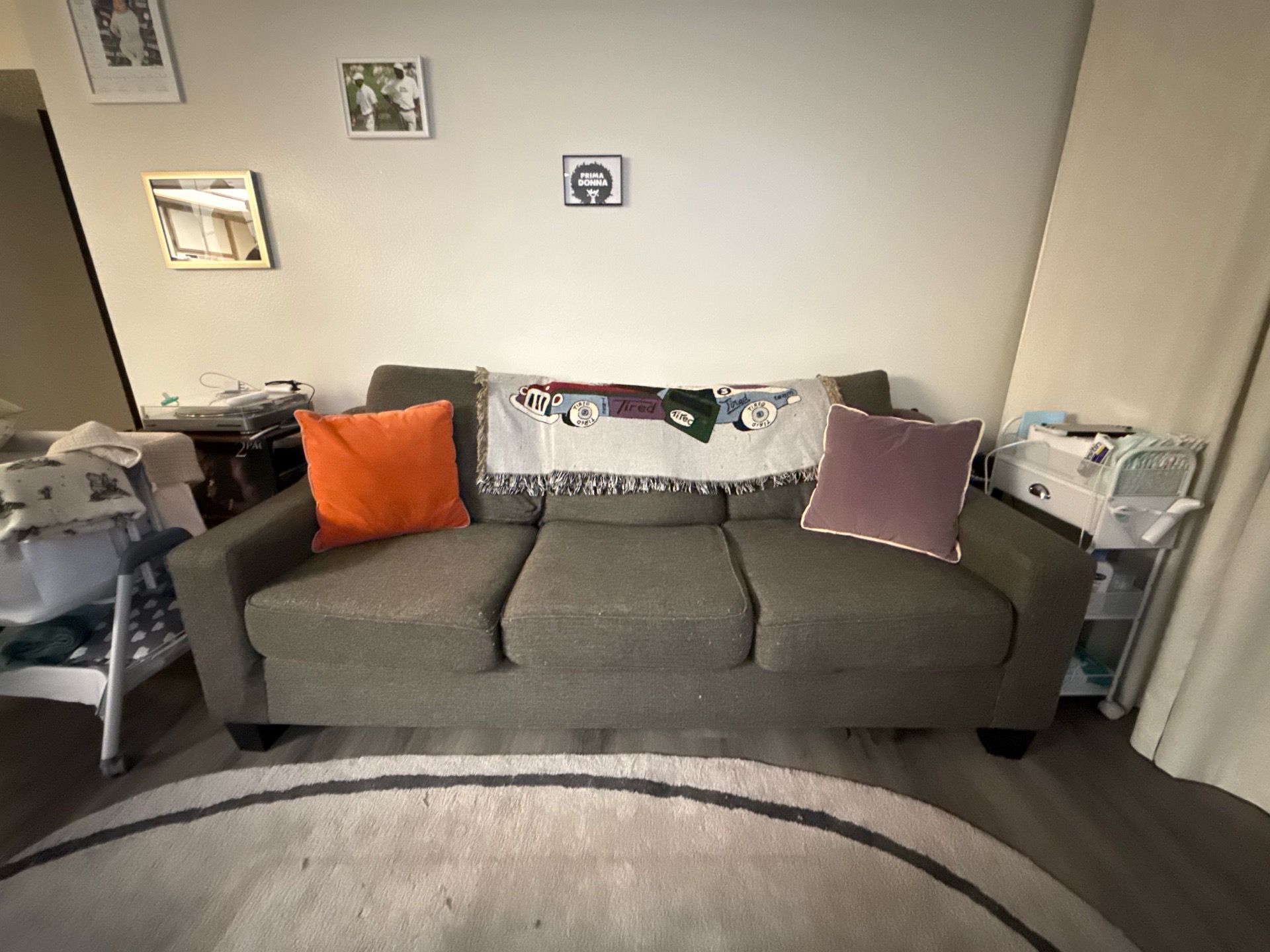 FREE Couch / Sofa (Rug)