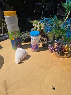 Fish Decorations