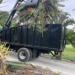 Tree Trash Garbage Piles 