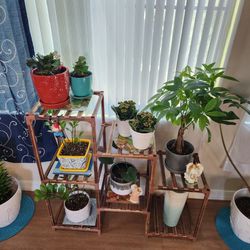Plant Stand Indoor Wood