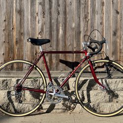 1984 Raleigh Touring 18