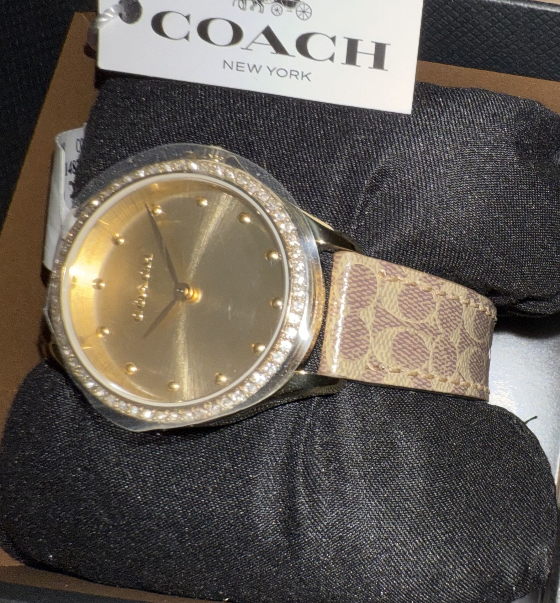 Coach Watch Women’s Astor Gold Dial Leather Watch