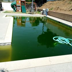 Pool Clean 