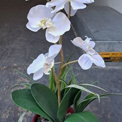 ARTIFICIAL ORCHID