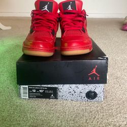 Air Jordan 4s “ Single day” 