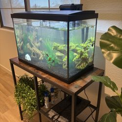 Fish Tank + Stand (Table)