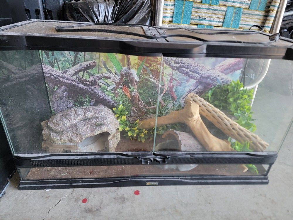 Lizard Tank