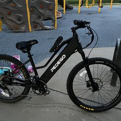 Pedego Electric Bike