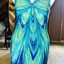 Very Nice Women Dress Size  (8) Use Like New 