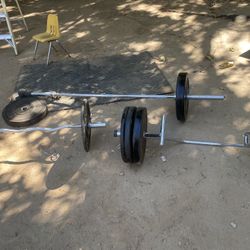 Used 240 Lb Bumper Plates /45 Lb Olympic Bar/25 LB Curl Bar / 45 LB Deadlift Bar