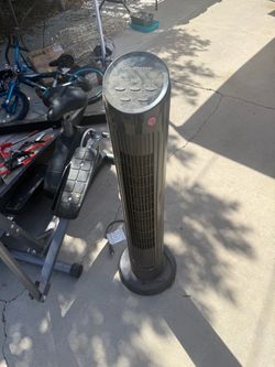 Fan