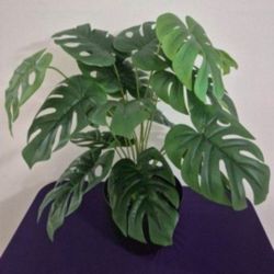 Potted Faux Monstera Plant with Labradorite Stone in an 8" Resin Planter @ Lasting Creations