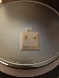 14k Screw Back Earrings