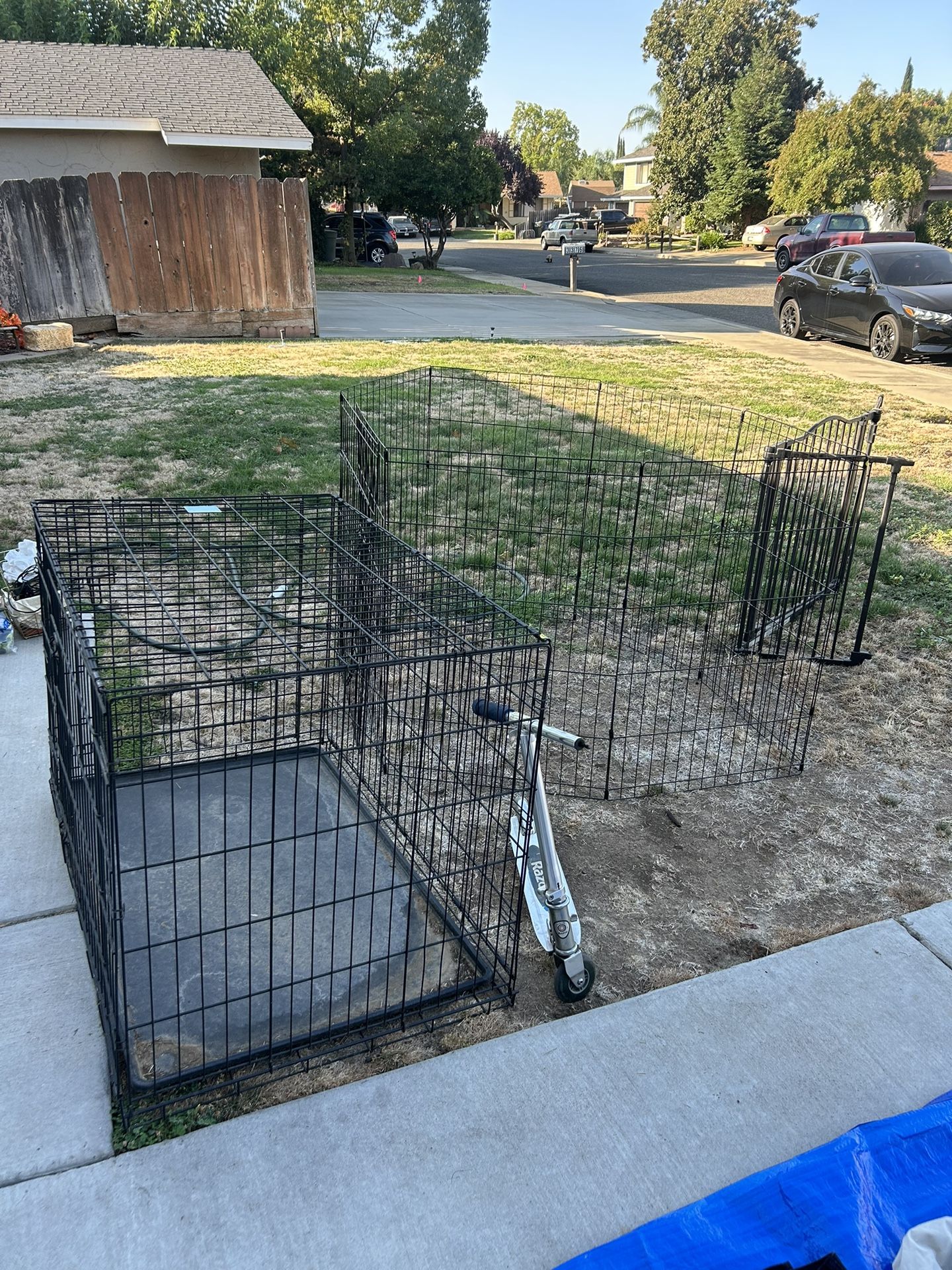 Kennel 