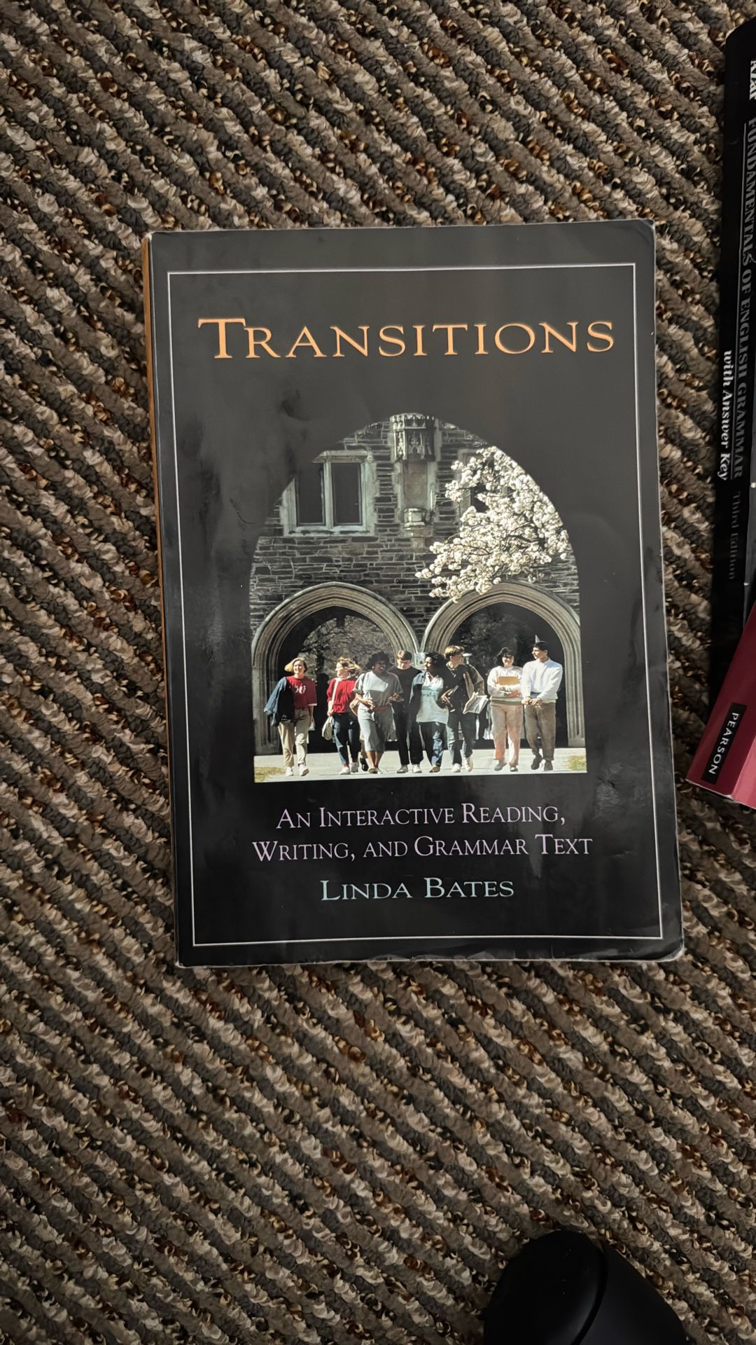 Transitions: An Interactive Reading, Writing, and Grammar Text