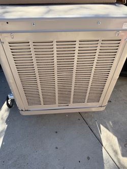 Swamp cooler champion