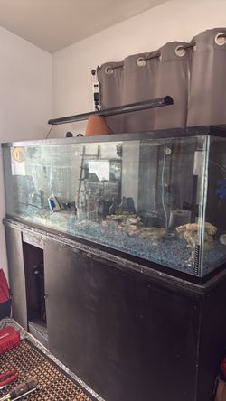 Fish tank