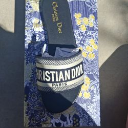 Dior sandals