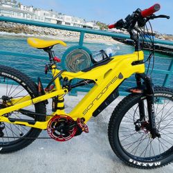 Electric Bike 